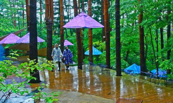 星のや富士「雨グランピング」開催【梅雨の雨天で森を楽しむ新スタイル企画】