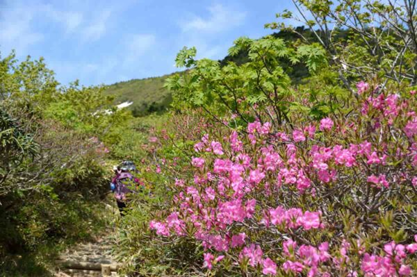 春山登山の装備は何が必要？おすすめ商品と注意点を解説します！