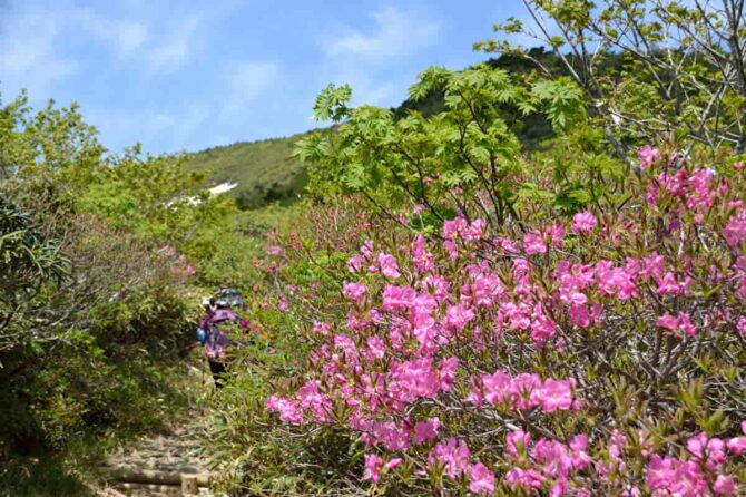 春山登山の装備は何が必要？おすすめ商品と注意点を解説します！