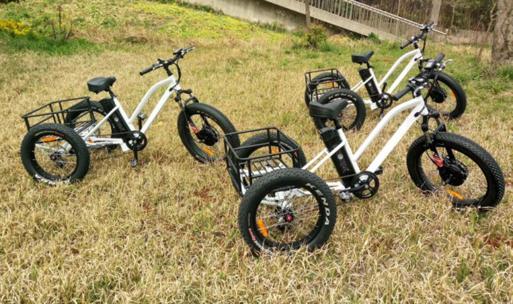 電動アシスト式三輪自転車 スポーツモデル「e trike」