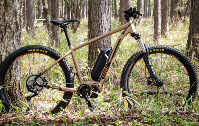 NESTO初のe-bike (電動マウンテンバイク)「X-VALLEY E6180」発売