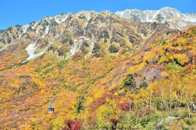 立山黒部アルペンルート、紅葉シーズンスタート！「本州一番乗り！富山県と長野県を結ぶ」