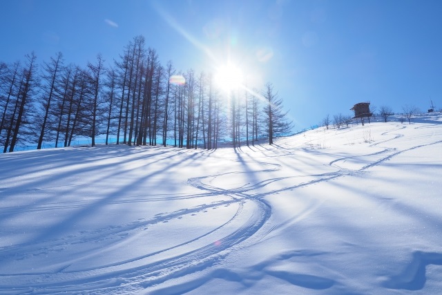 北海道　Gotoトラベル スキー場
