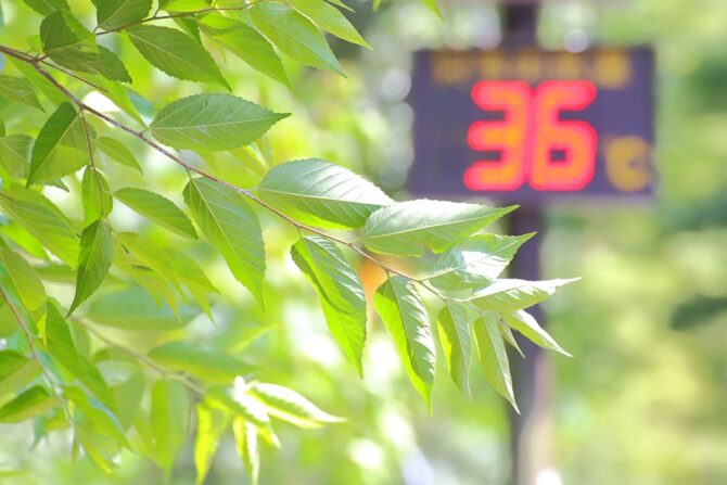 知っておきたい海の気象　最終章「天気」を知る(基礎知識篇④)