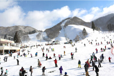 関西最大級のグランスノー奥伊吹、今シーズンは12/19 オープン決定＆キッズパークの広さを「２倍」に拡張