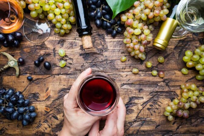 おしゃれキャンプはワインで乾杯！ソムリエの選ぶコスパの良いワインを大公開