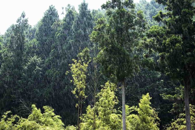 知っておきたい海の気象　最終章「天気」を知る(基礎知識篇②)