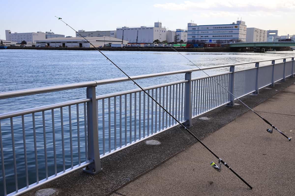 海釣り　東京都江東区
