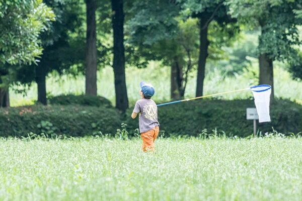 キャンプで子どもと虫とりを楽しもう！虫とりのコツやおすすめキャンプ場を紹介