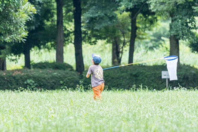 キャンプで子どもと虫とりを楽しもう！虫とりのコツやおすすめキャンプ場を紹介