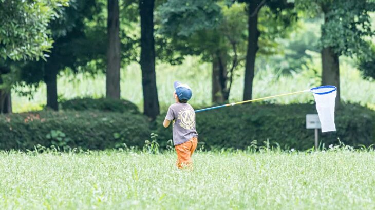 春キャンプで子どもと虫とりを楽しもう 虫とりのコツやおすすめキャンプ場を紹介 Greenfield グリーンフィールド アウトドア スポーツ