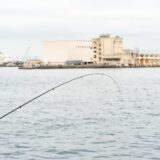 春の堤防海釣りで狙うべき魚種を知ろう！それぞれの釣り方の解説付き