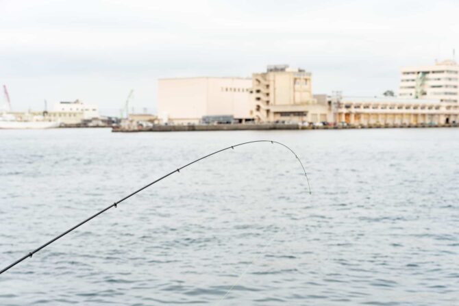 春の堤防海釣りで狙うべき魚種を知ろう！それぞれの釣り方の解説付き
