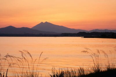 【春のバス釣り霞ケ浦入門：後編】産卵期のバスの動きと釣れるおすすめ流入河川