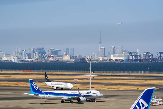 飛行機でキャンプ場へひとっ飛び！飛行機キャンプ旅の魅力と積載荷物の注意点も