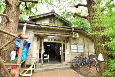 山岳部の歴史は古い？高校や大学の山岳部歴史について解説します