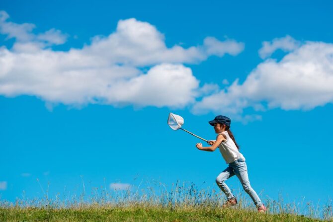 アウトドアで何して遊ぶ？子連れアウトドアにおすすめの遊び方&おもちゃをご紹介