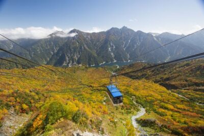 立山黒部アルペンルート、最新紅葉情報を毎日配信