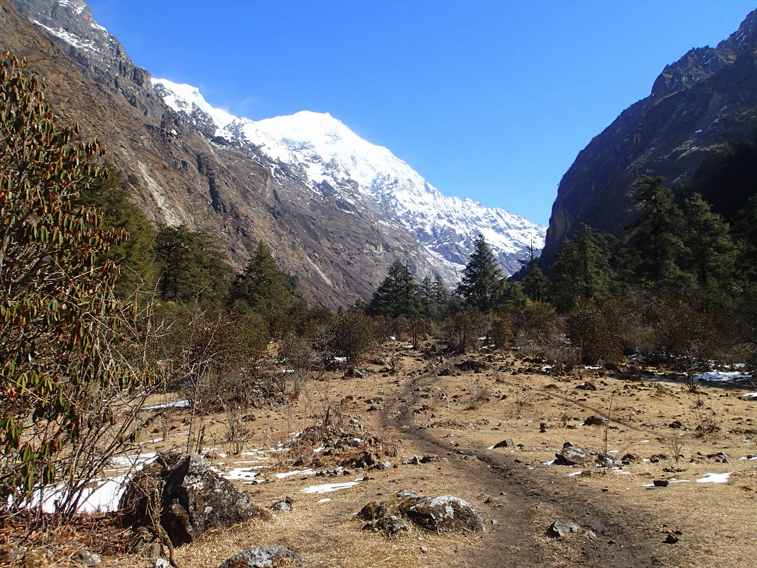 海外トレッキング　ネパール