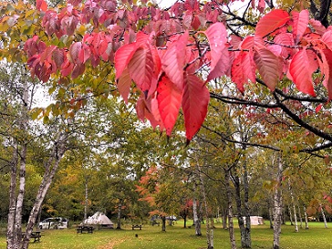 秋キャンプ　おすすめ　北海道