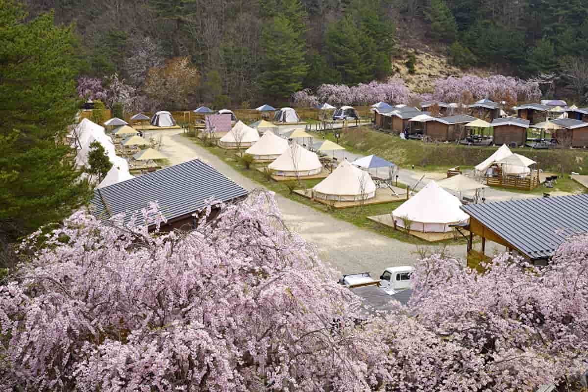 春キャンプ　関西