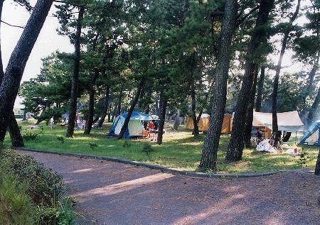 宮崎 サーフキャンプ