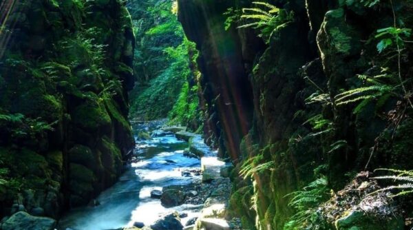【2023年版】夏の東北エリアで登山に行くならここ「6選」