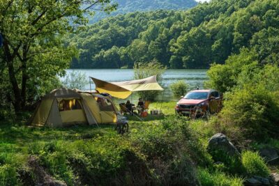 キャンプの必需品！ポイズンリムーバーの効果
