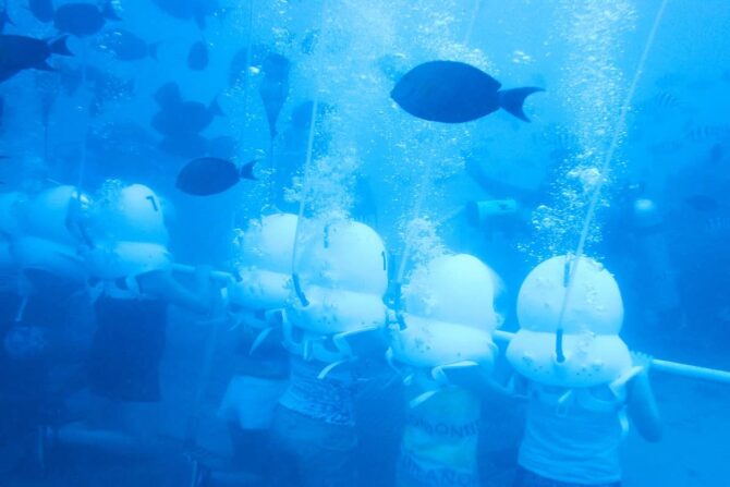 シーウォーカーのアイテムや体験スポットを紹介