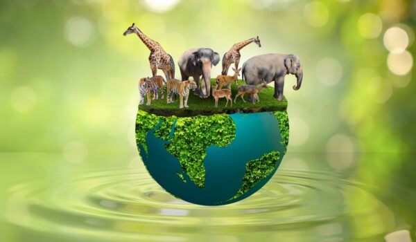 絶滅危惧種はなぜ増えてるの？レッドリスト（絶滅危惧種のリスト）から考えよう