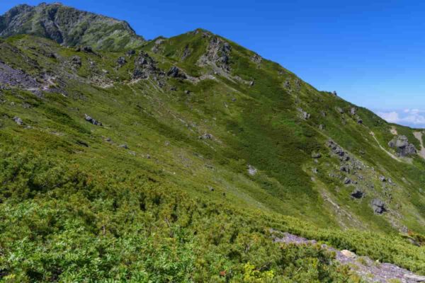 【2023年版】夏の南アルプス 登山のおすすめルートを紹介