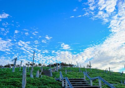 【2023年版 山の日】関西の日帰り登山スポット6選