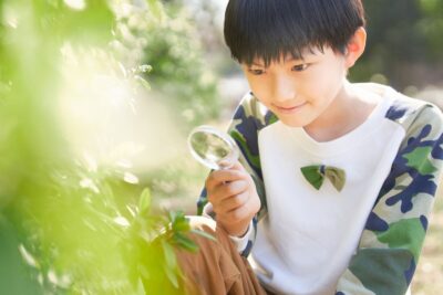 自然教育で子どもの生きる力を育む海外の事例