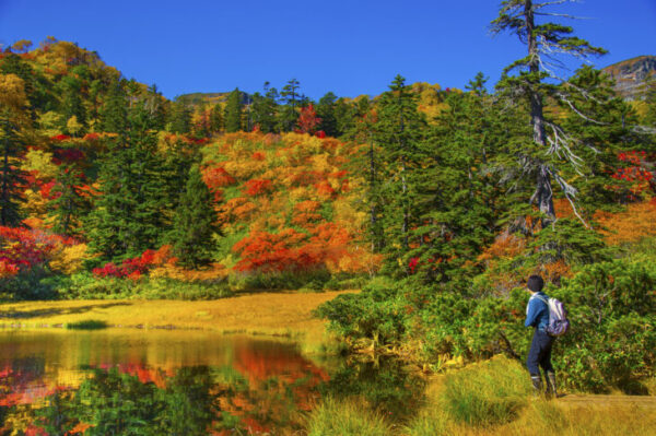 【2023年版】東北で紅葉を楽しめる登山6選