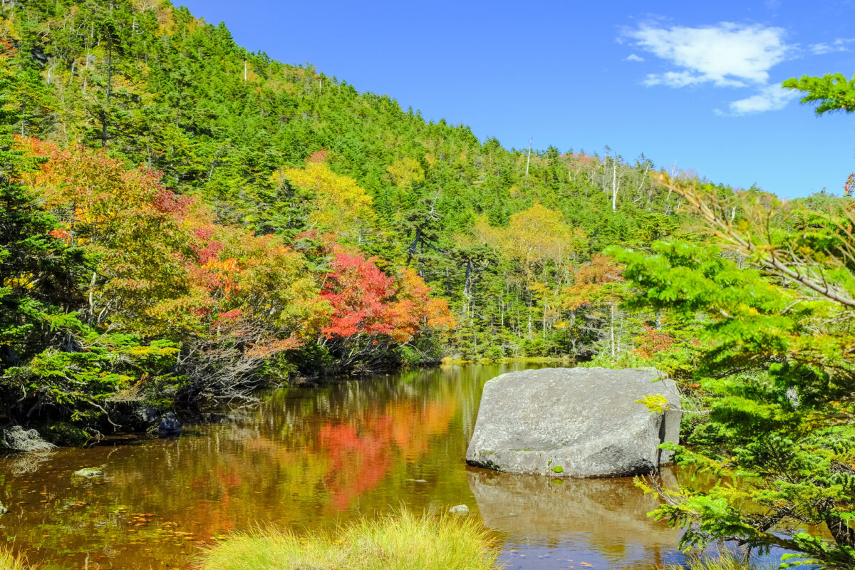 紅葉　登山　八ヶ岳