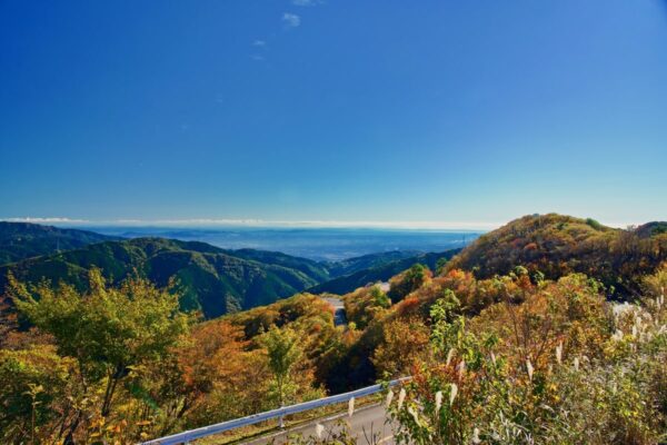 【2023年版】関西で紅葉を楽しめる登山6選