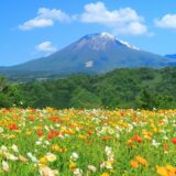 【登山体験記】鳥取県・大山のおすすめルートや行程のポイント
