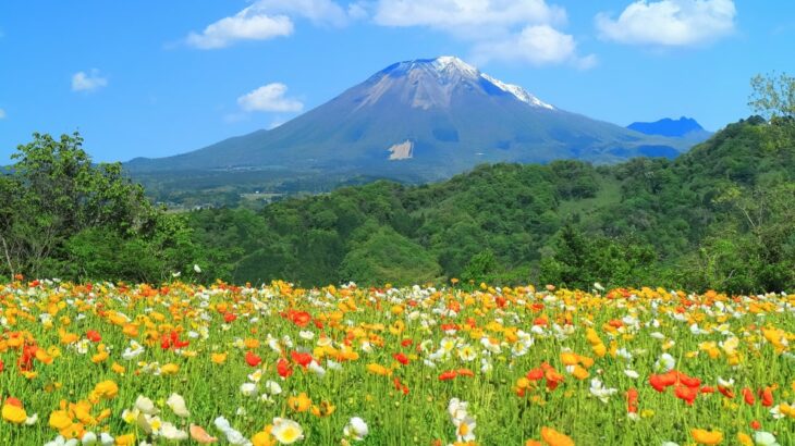 【登山体験記】鳥取県・大山のおすすめルートや行程のポイント