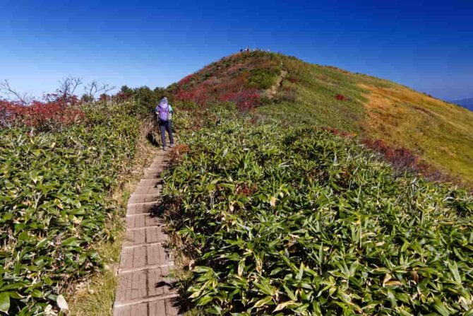 登山中の非常時に使用できる携帯トイレ