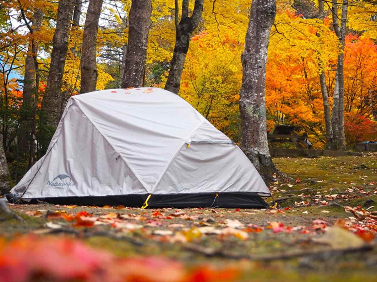 秋のデイキャンプ　テント