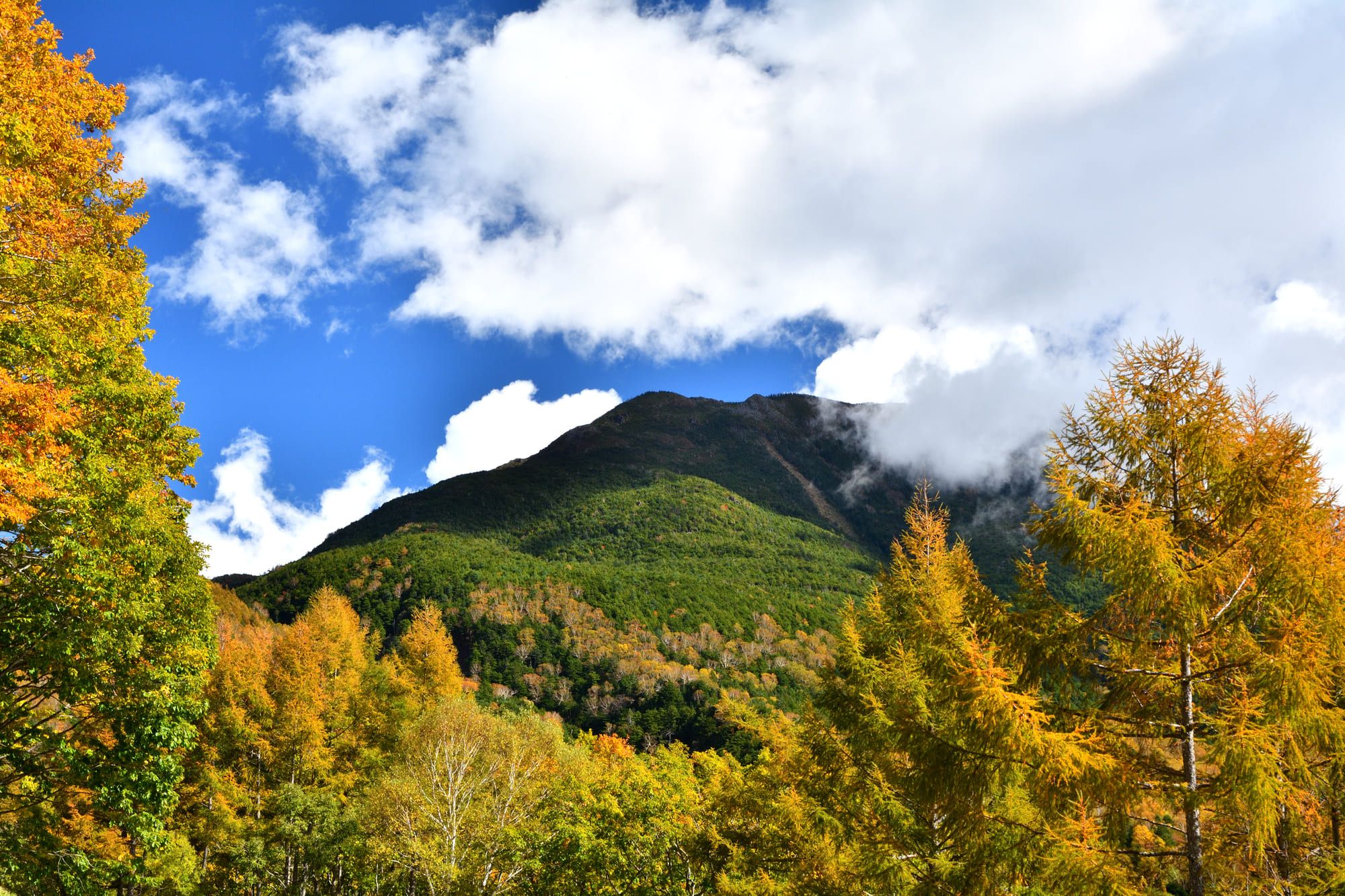 紅葉　登山　八ヶ岳