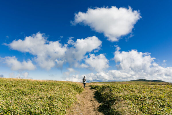 美ヶ原の紅葉情報や日帰り登山コースと周辺施設