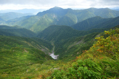 【中荒沢の登山情報】「万年雪・本城の滝」の魅力と周辺スポットの紹介