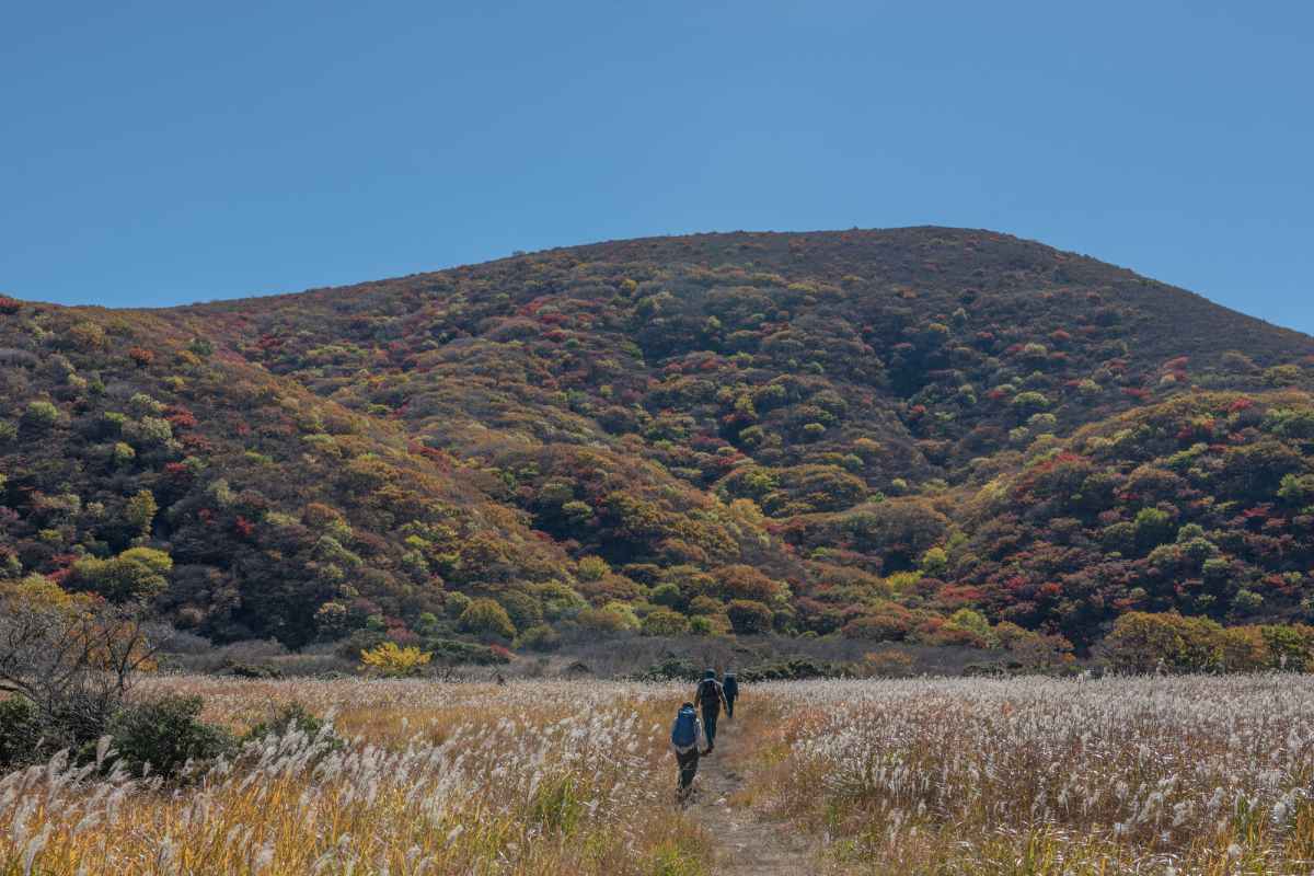 秋の日帰り登山　九重山
