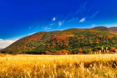 九重山の紅葉情報や日帰り登山コース3選