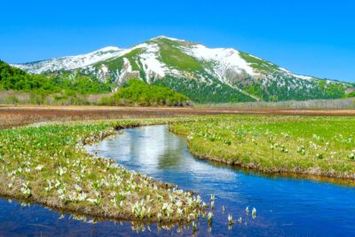 【2024年版】関東エリアでお花見登山ができる山5選