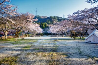 【2024年版】春キャンプに最適な北海道のキャンプ場5選