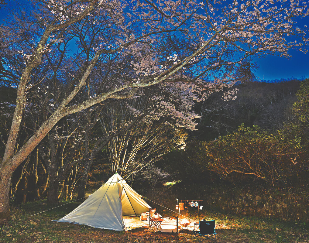 2023年版　お花見　キャンプ　北海道