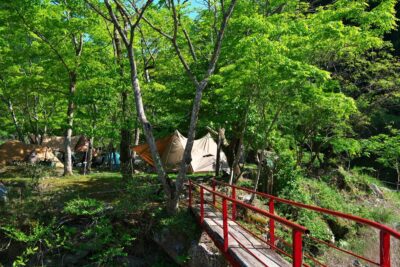 夏キャンプの虫対策！夏に気を付けたい虫の種類と対策法