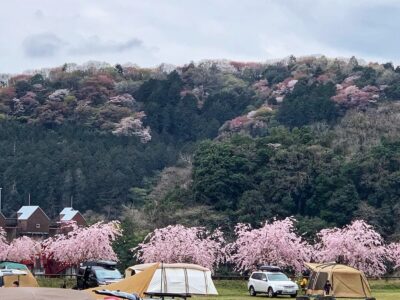 【2024年版】春キャンプに最適な東海のキャンプ場4選